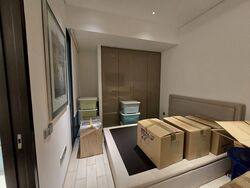Whitley Road (D11), Semi-Detached #557127361
